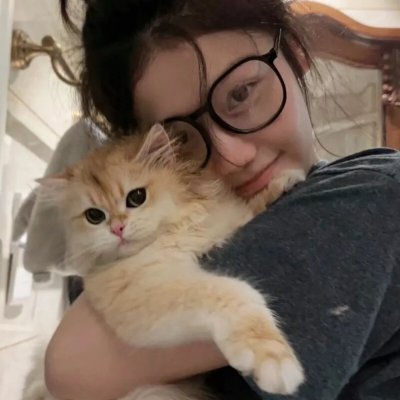 鞋猫剑客